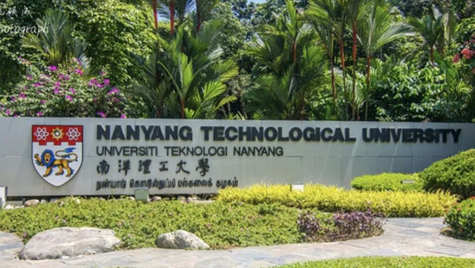 新加坡南洋理工大学国立教育学院2025暑期线上项目报名通知